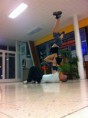 /album/kepgaleria-kezdolap2/a999758-409631405896264-2449572318900927774-n-jpg2/